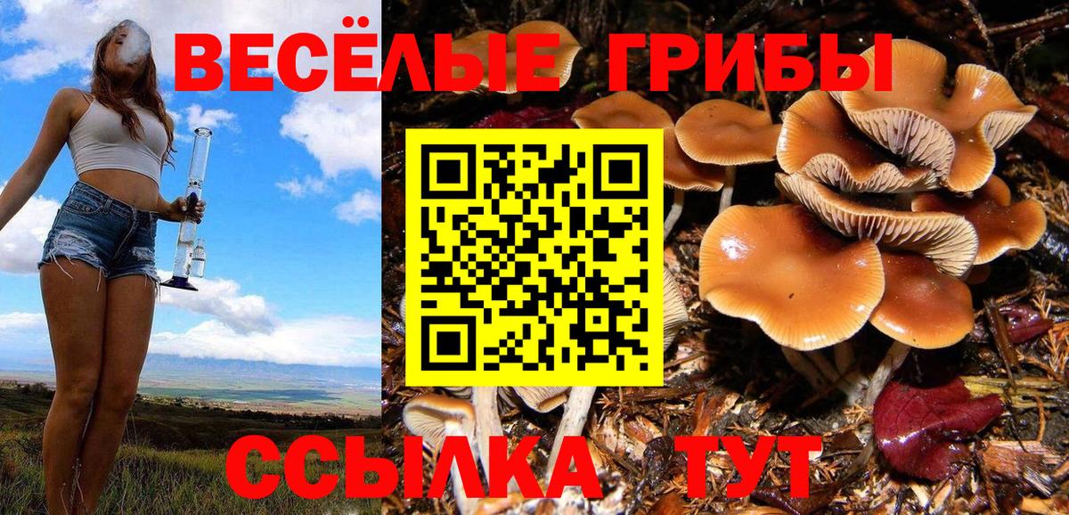 Галлюциногенные грибы мухоморы Фурманов